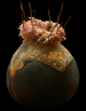 gourd black with fuzzy top
