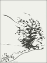 Tree (thumbnail)