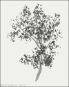Trees (thumbnail)