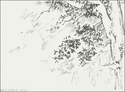 Trees (thumbnail)