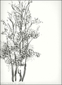 Trees (thumbnail)