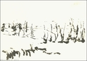 Trees%20in%20Winter (thumbnail)
