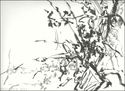 Vegetation (thumbnail)