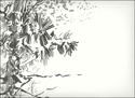 Vegetation (thumbnail)