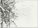 Vegetation (thumbnail)