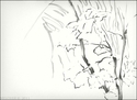 Vegetation (thumbnail)