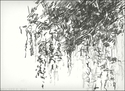 Vegetation (thumbnail)