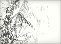Vegetation (thumbnail)