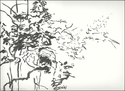 Vegetation (thumbnail)