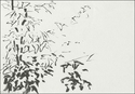 Vegetation (thumbnail)