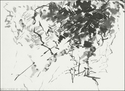 Vegetation (thumbnail)