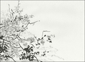 Vegetation (thumbnail)