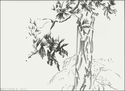 Trees (thumbnail)