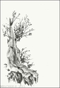 Olive%20Tree%20-%20Majorca (thumbnail)