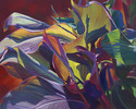 Julene Baker-Smith, PSA - Tropicales