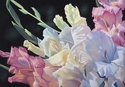 Petal%20Parfait (thumbnail)