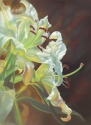 Easter%20Lilies (thumbnail)