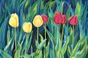Tulip%20Parade (thumbnail)