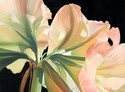 Inside%20Trumpets (thumbnail)
