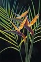 Tropical%20Delight (thumbnail)