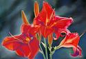 Legacy%20in%20Lilies (thumbnail)