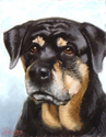 Painting--Pastels-AnimalsFern