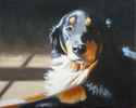 Painting--Oil-Animals