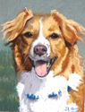 Painting--Pastels-Animals