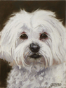 Painting--Pastels-Animals