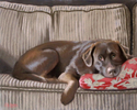 Painting--Pastels-Animals