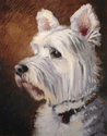Painting--Pastels-AnimalsWestie