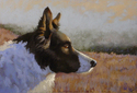 Painting-Border Collie