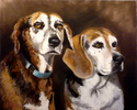 Painting--Pastels-AnimalsThe Golden Girls