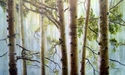 Forest%20Of%20My%20Youth (thumbnail)