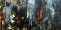At%20The%20Edge%20of%20A%20Forest (thumbnail)