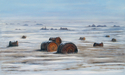 Prairie%20Silence (thumbnail)