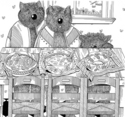 3 Bouviers
