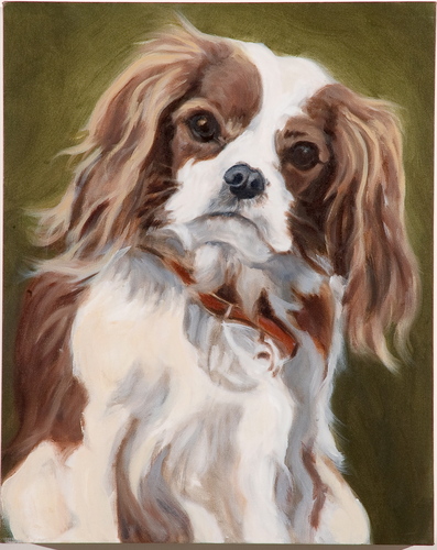 Painting-Animals-Who me?