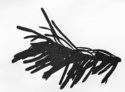 pine bit #12