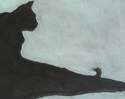 Black Cat #7