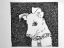 pen and ink drawing of a dof - Animals Drawing