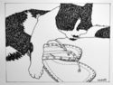 Flip-Flop Cat