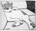 Couch Potato Cat