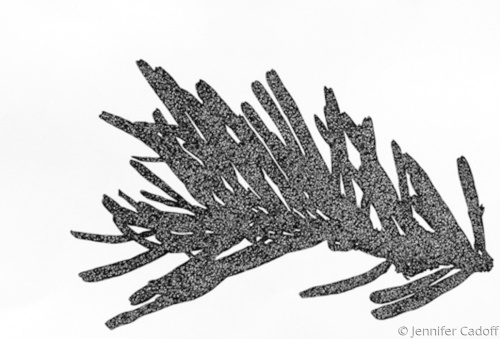Drawing-Paper-Pine Bit # 5