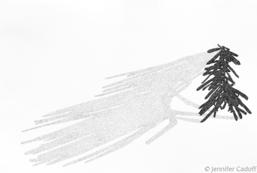 Drawing-Paper-shadow pine bit #1