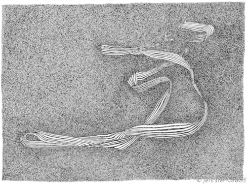 Drawing-Paper-That's Life (SOLD)