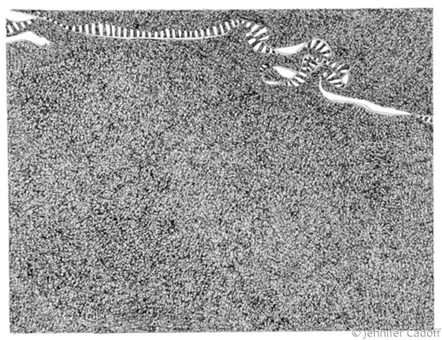 Drawing-Paper-meandering