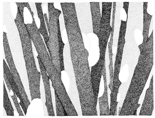 Drawing-Paper-Pussywillows Close Up