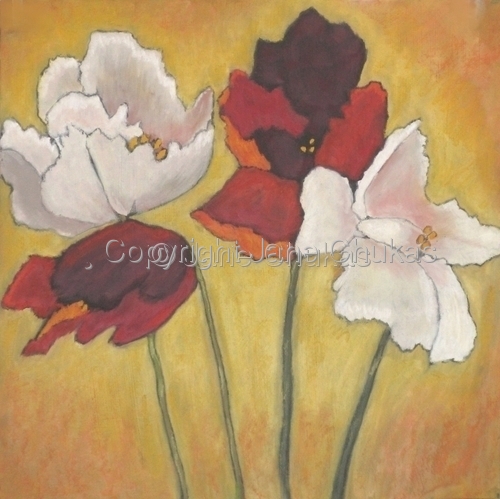 Drawing-Botanical-Bearded Ladies