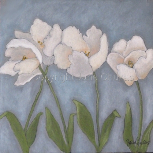 Drawing-Botanical-Bearded Ladies #4